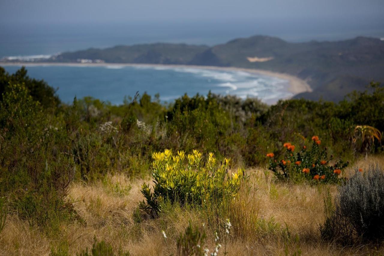 Alkira Lodge Brenton-on-Sea Exteriér fotografie